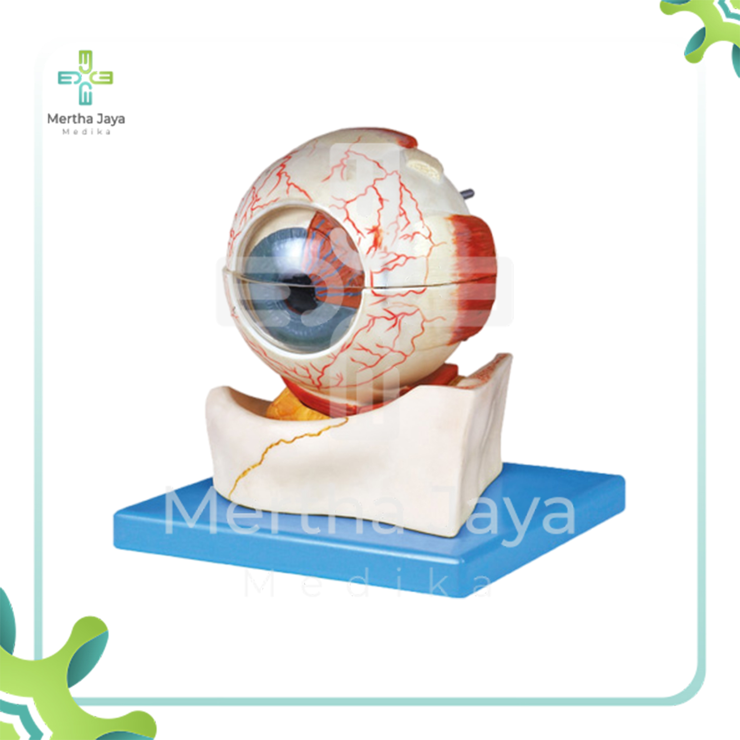 GD_A17103 Eyeball