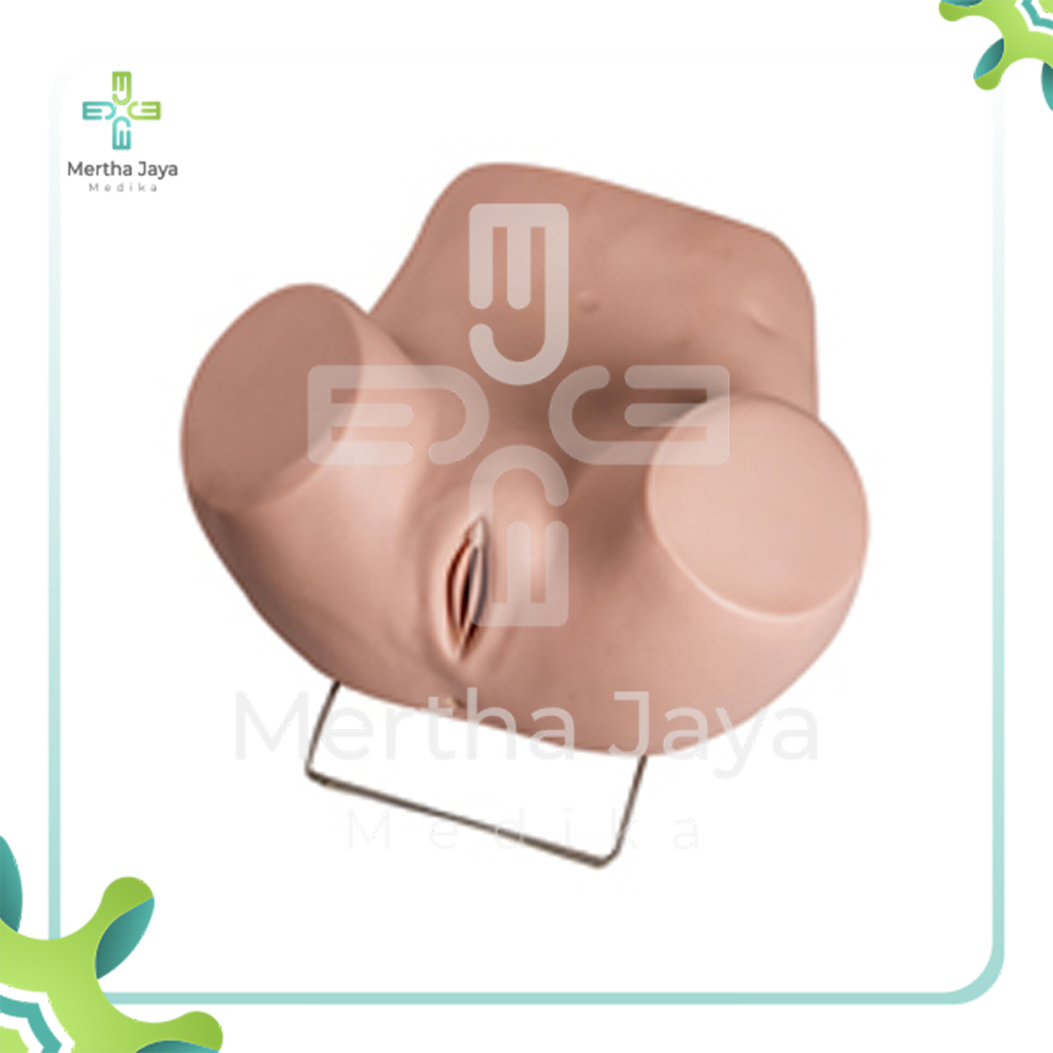GD_F35 Advanced Gynecological Examination Simulator