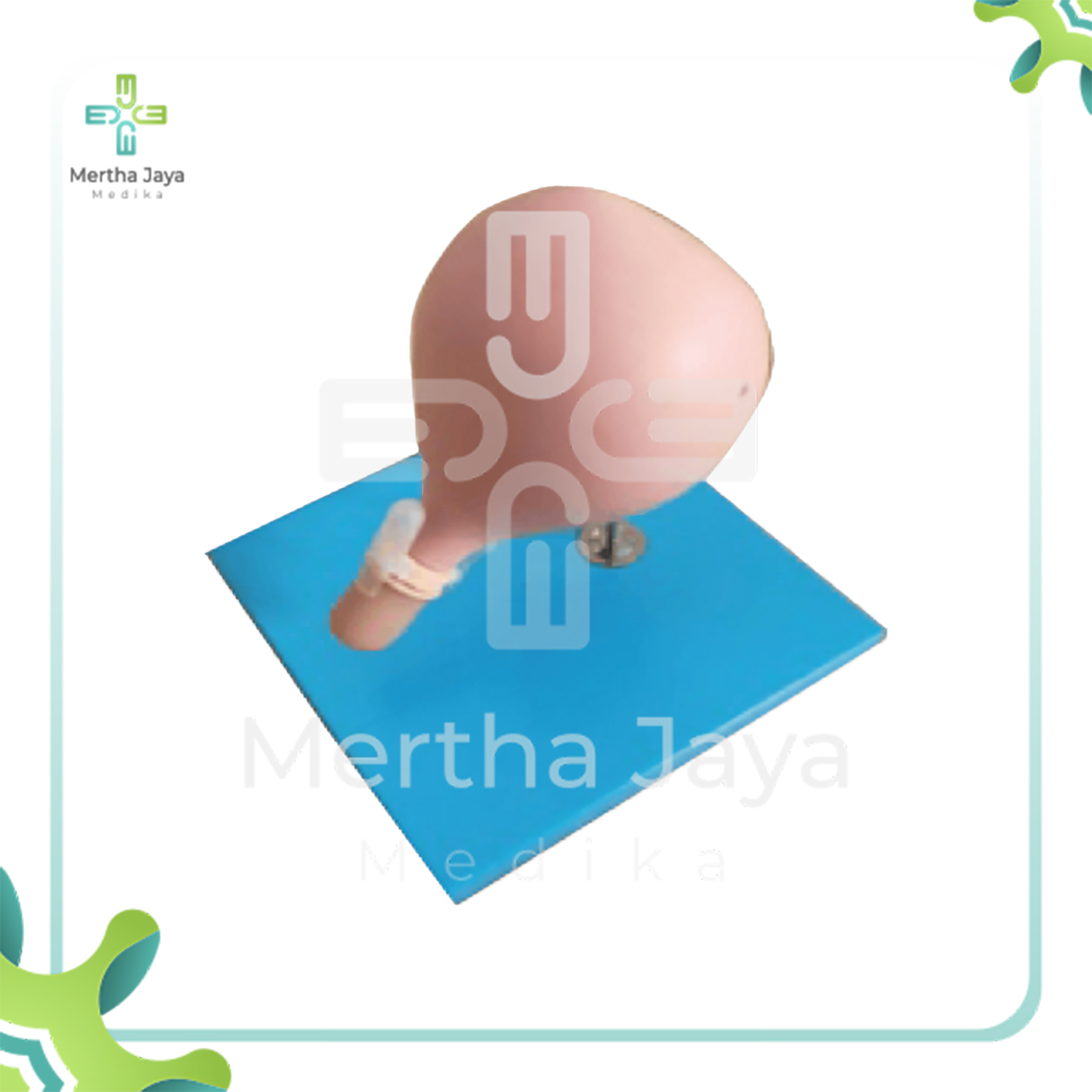 GD_FT33C Cervical Circumcision Model