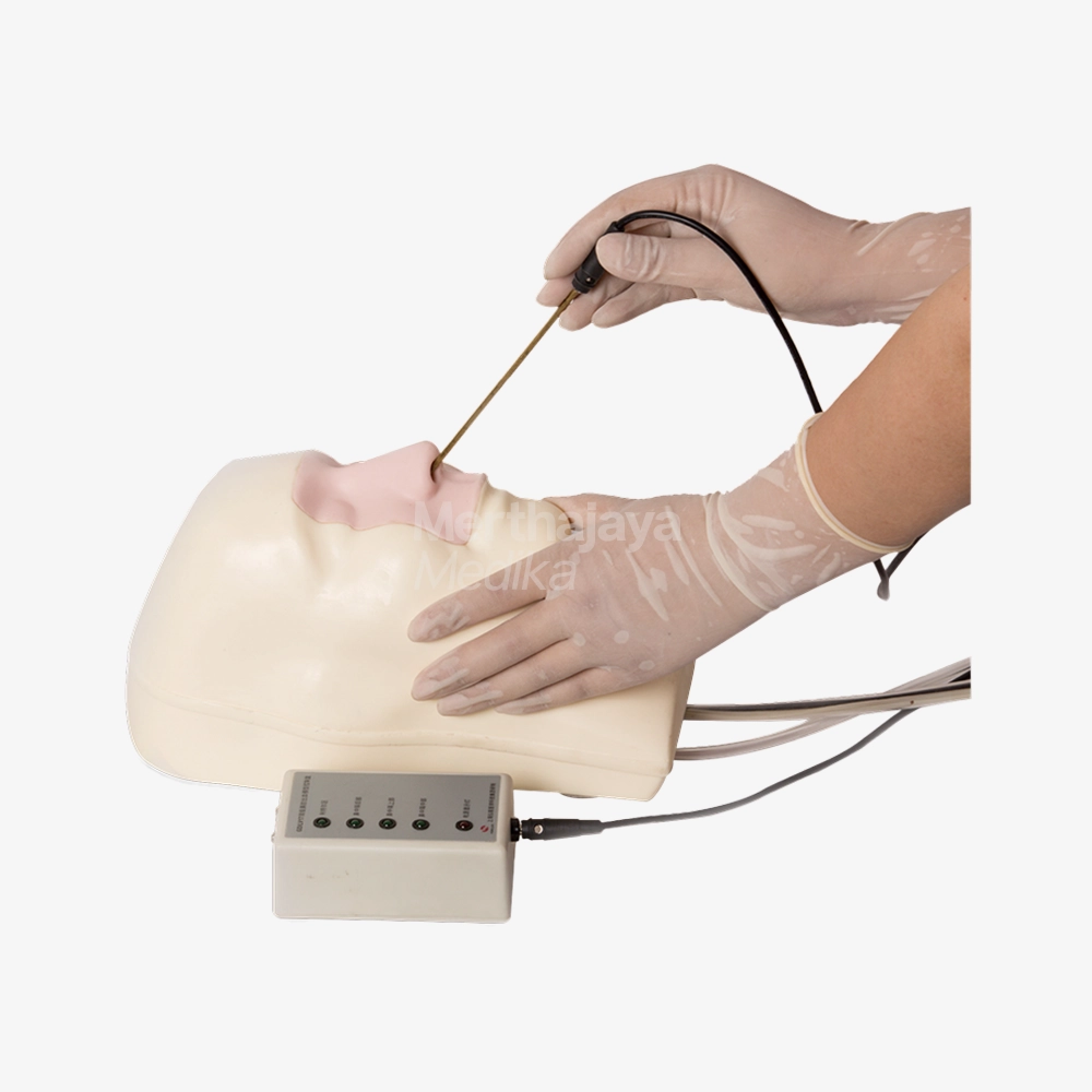 Manekin Epistaksis (Simulator Pendarahan Hidung) _ Advanced Nasal Hemorrhage Simulator) - GD_LV17