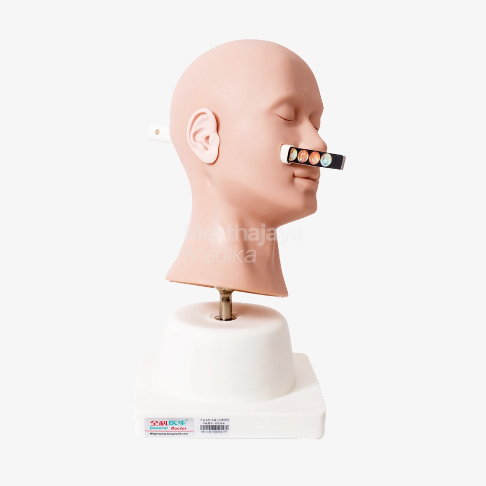 Simulator Diagnostik Telinga _ Advanced Ear Diagnostic Simulator - GD_LV41